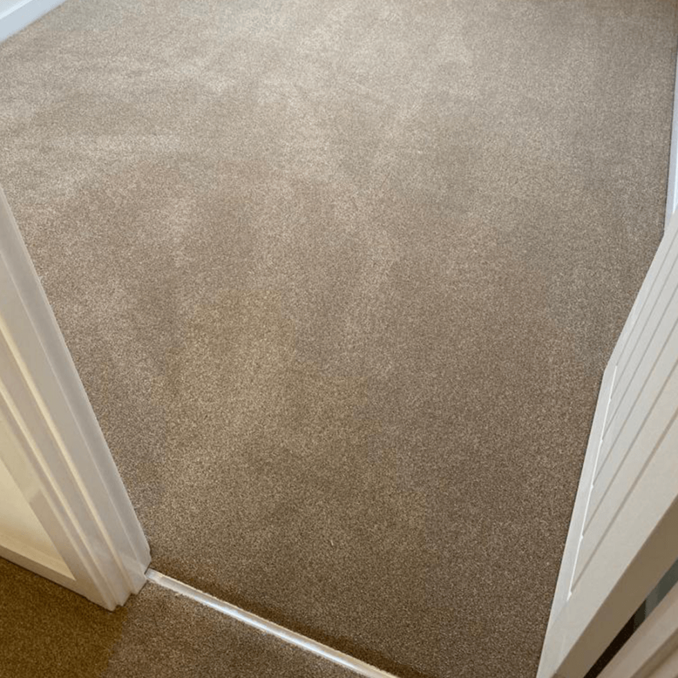 How To Choose The Perfect Carpet For Your Home Whiston Carpets